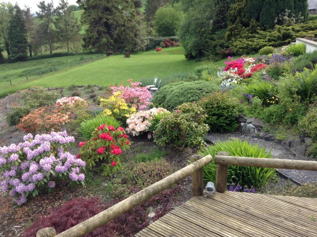 Frondderw Country House Bed & Breakfast 巴拉 外观 照片